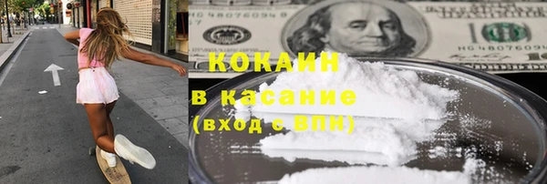 крисы Алзамай