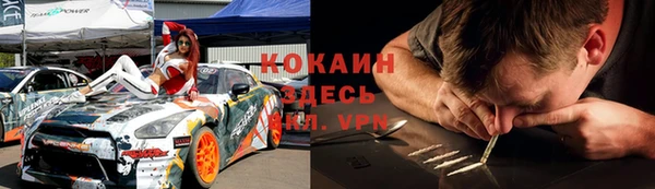 твердый Алексеевка