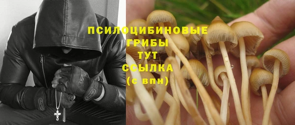 СК Вяземский