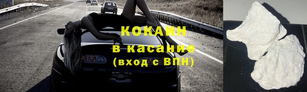 крисы Алзамай