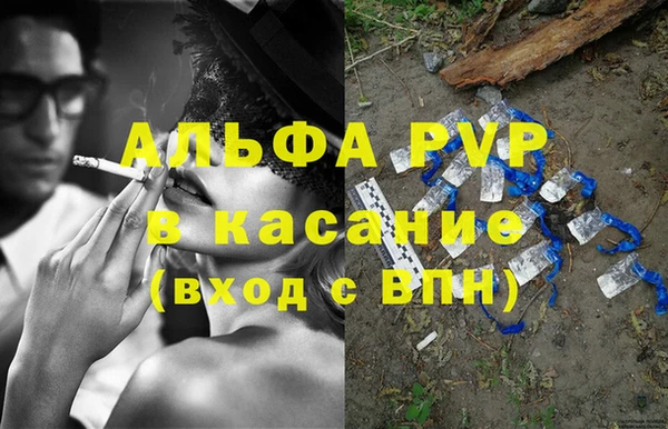крисы Алзамай