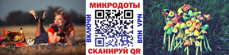 дарнет шоп  Десногорск  Галлюциногенные грибы мицелий 
